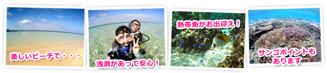 日本最高峰の石垣島でダイビングしませんか！