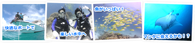 日本最高峰の石垣島でダイビングしませんか！